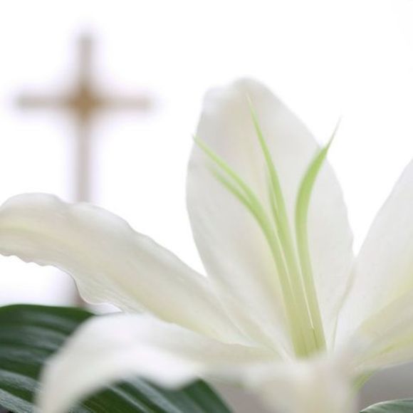 Meet your Posher, Adriana - Picture 1 of 1